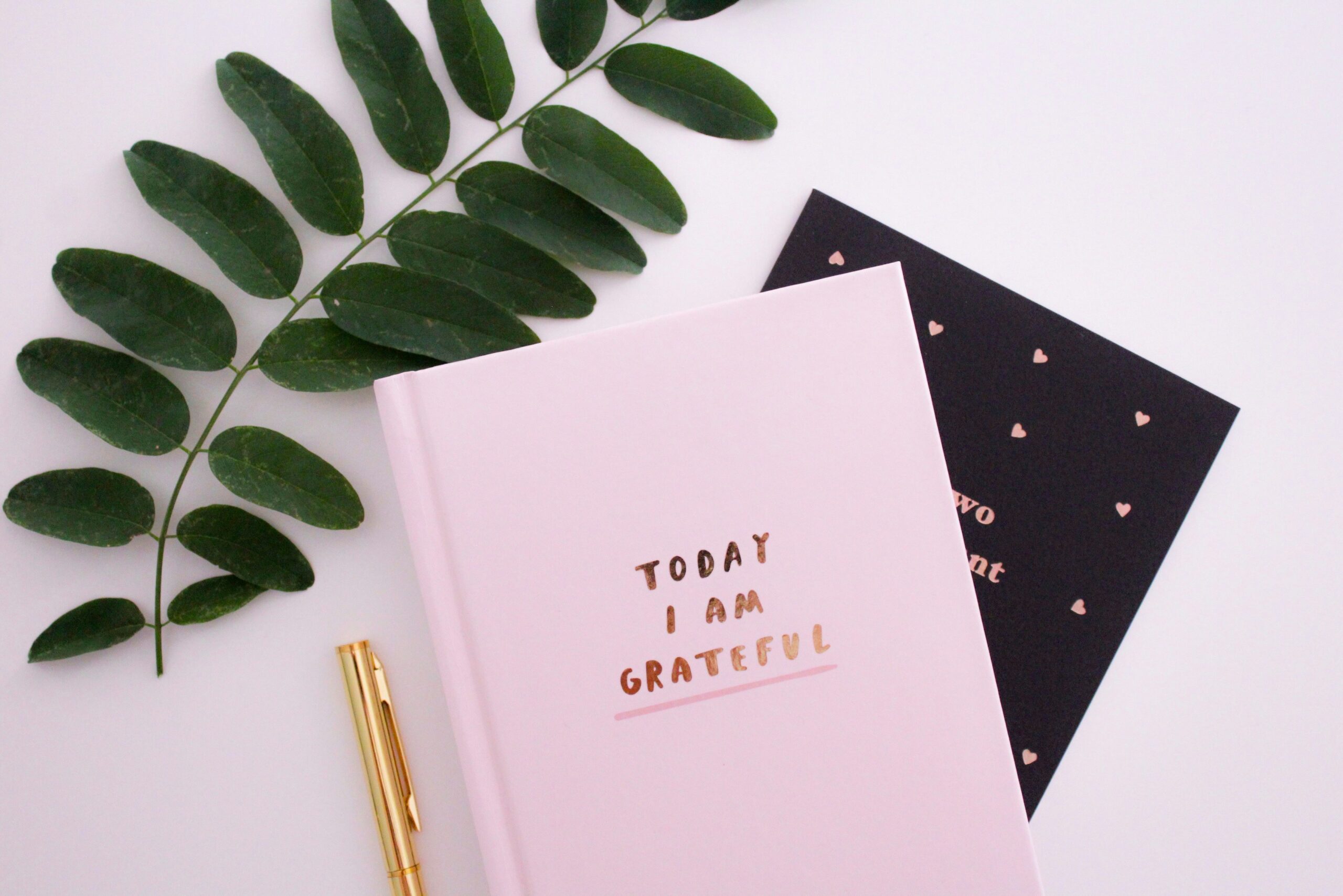 Gratitude Journal for March 2026